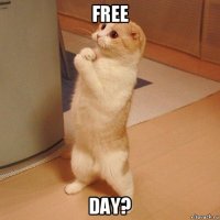 free day?