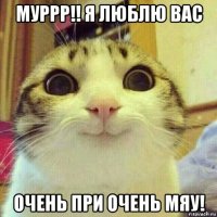 муррр!! я люблю вас очень при очень мяу!