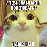 а тебе слабо меня поцеловать? 1-да! 2-нет!!!