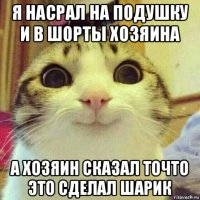 я насрал на подушку и в шорты хозяина а хозяин сказал точто это сделал шарик