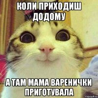 коли приходиш додому а там мама варенички приготувала