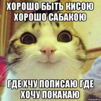 хорошо быть кисою хорошо сабакою где хчу пописаю где хочу покакаю