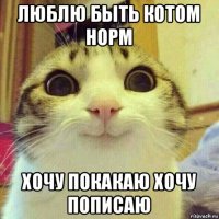 люблю быть котом норм хочу покакаю хочу пописаю