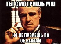 ты смотришь мш но не лазаешь по объектам