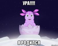 ура!!!! я родился