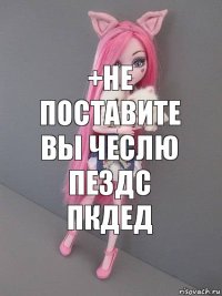 +не поставите вы чеслю пездс пкдед