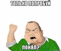 только попробуй понял?