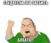 студвесна это заебись блеать!!