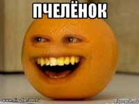 пчелёнок 