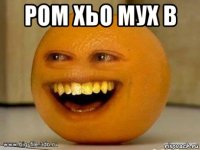 ром хьо мух в 