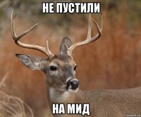 не пустили на мид