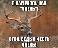 я паркуюсь как "олень"! стоп, ведь я и есть олень!