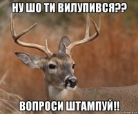 ну шо ти вилупився?? вопроси штампуй!!