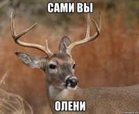 сами вы олени