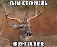 ты мне втираешь какую-то дичь