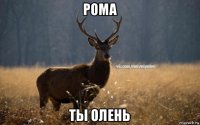 рома ты олень