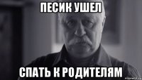 песик ушел спать к родителям