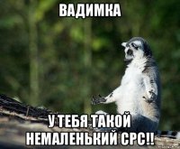 вадимка у тебя такой немаленький cpc!!