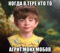 когда в тере кто то агрит моих мобов