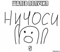 шалев получил 5