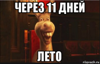 через 11 дней лето