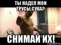 ты надел мои трусы,сука? снимай их!