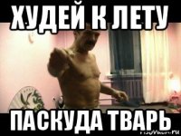 худей к лету паскуда тварь