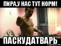 пира,у нас тут норм! паскудатварь