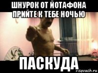 шнурок от йотафона прийте к тебе ночью паскуда