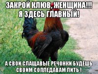 закрой клюв, женщина!!! я здесь главный! а свои слащавые речонки будешь своим сопледавам лить !