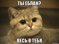 ты еблан? весь в тебя