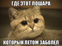 где этот лошара который летом заболел