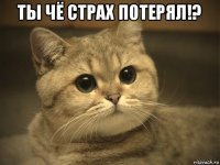 ты чё страх потерял!? 