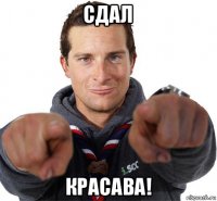 сдал красава!