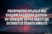 Расправляя крылья мы уходим разделяя дороги- но упавшие перья навсегда останутся лежать вместе