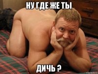 ну где же ты дичь ?