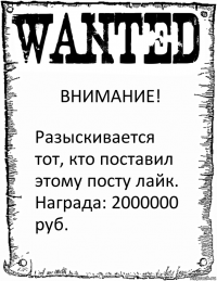 ВНИМАНИЕ! Разыскивается тот, кто поставил этому посту лайк. Награда: 2000000 руб.