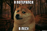 я потерялся в лесу