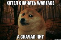 хотел скачать warface а скачал чит