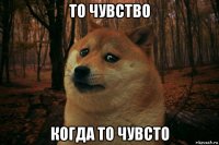 то чувство когда то чувсто