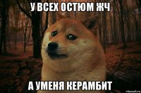 у всех остюм жч а уменя керамбит