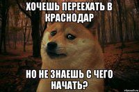 хочешь переехать в краснодар но не знаешь с чего начать?