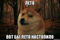 лето вот бы лето настопило