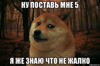 ну поставь мне 5 я же знаю что не жалко