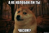 а не колобок ли ты часом?