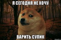 я сегодня не хочу варить супик