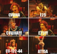 Сушка Е25 СУШКА!!! Е25!!! СУ-122-44 АТ15А