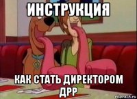 инструкция как стать директором дрр