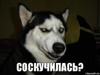 соскучилась?