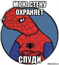 мою стену охраняет спуди